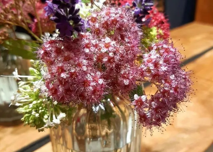 In By Interhome * 奎德林堡